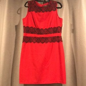 Brand new size 12 red dress with black lace
